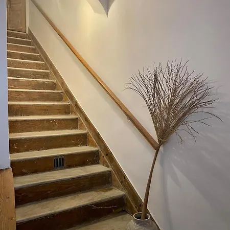 130 M2 Hyper Centre Cathedrale * أجاكسيو