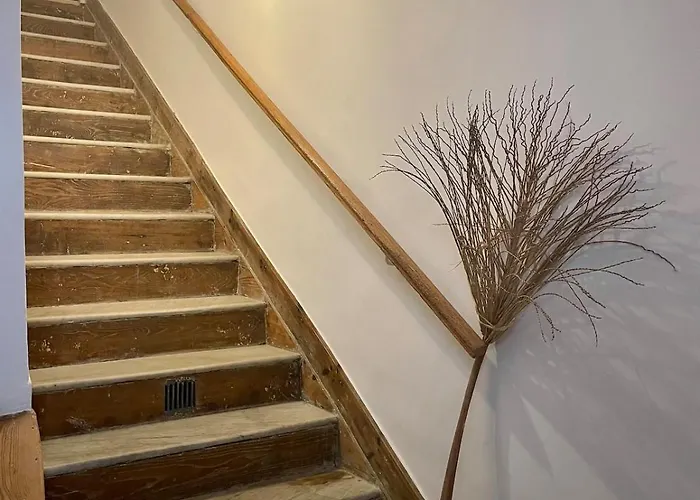 130 M2 Hyper Centre Cathedrale * أجاكسيو